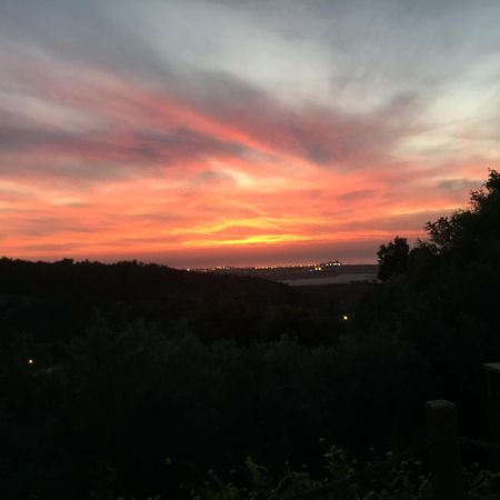 Вилла Above The Sea Ein Hod Экстерьер фото