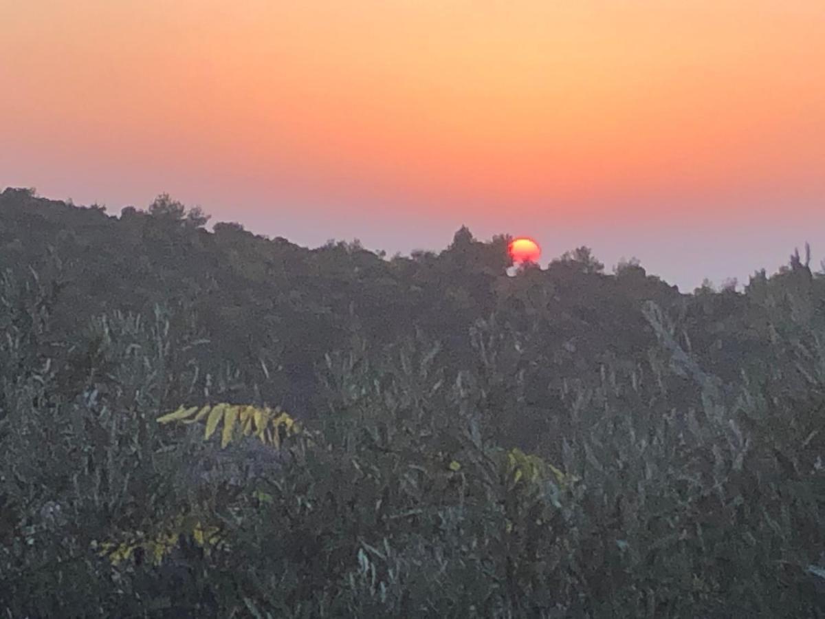 Вилла Above The Sea Ein Hod Экстерьер фото