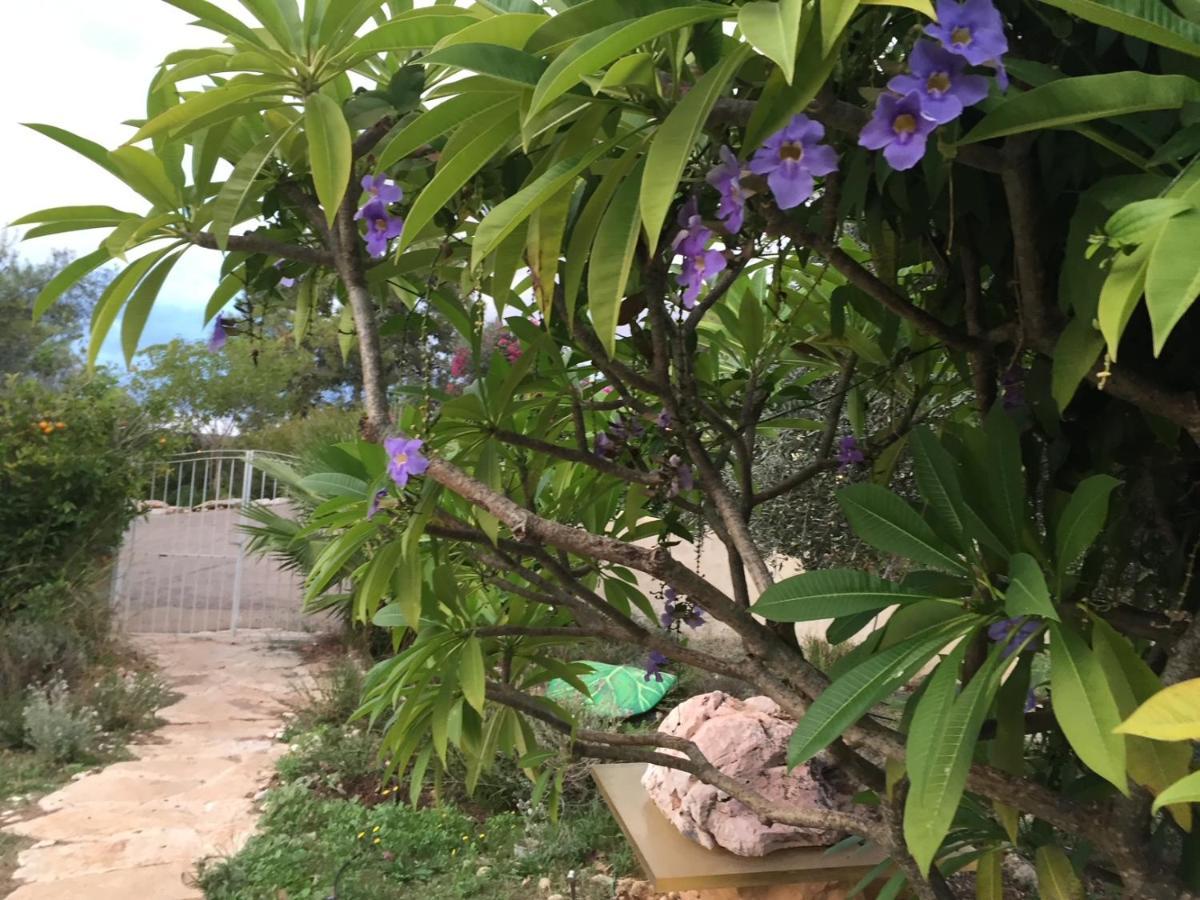 Вилла Above The Sea Ein Hod Экстерьер фото