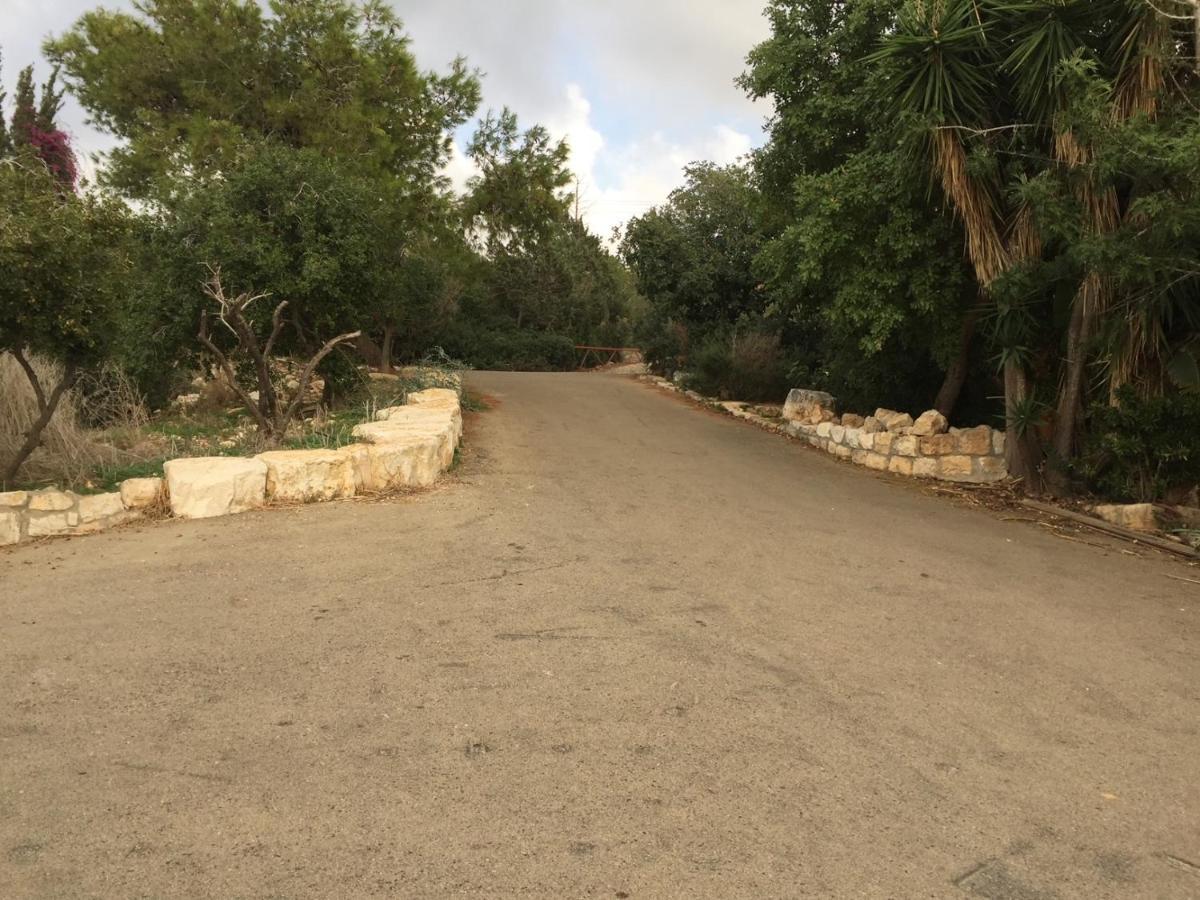 Вилла Above The Sea Ein Hod Экстерьер фото
