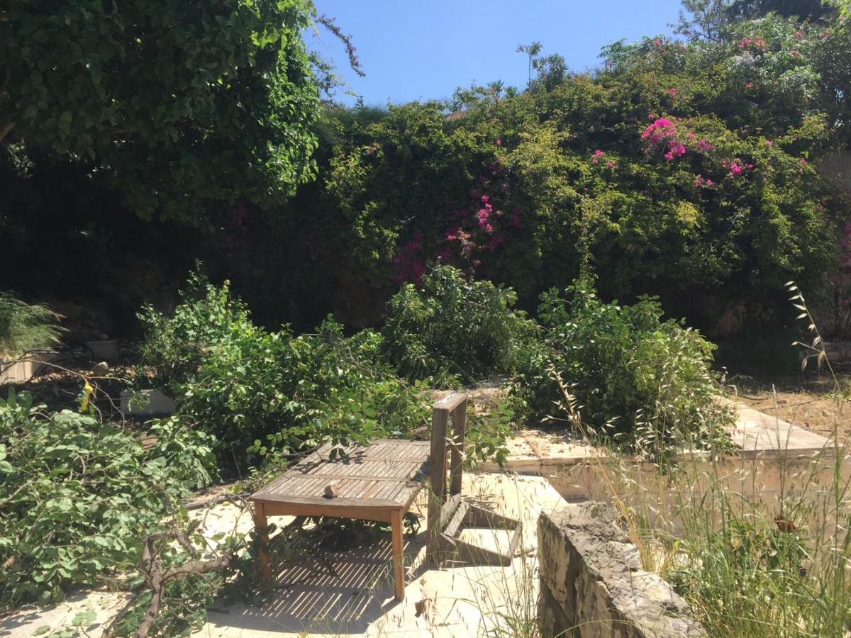Вилла Above The Sea Ein Hod Экстерьер фото