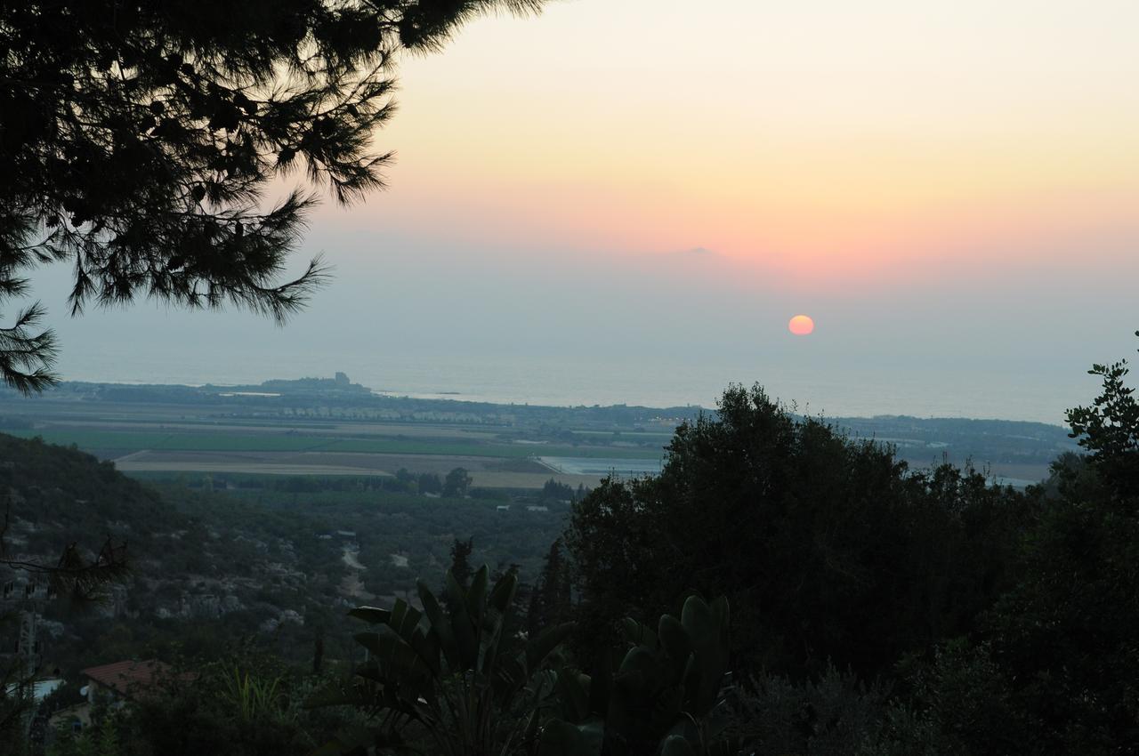 Вилла Above The Sea Ein Hod Экстерьер фото