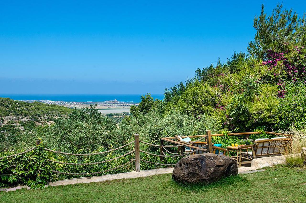 Вилла Above The Sea Ein Hod Экстерьер фото