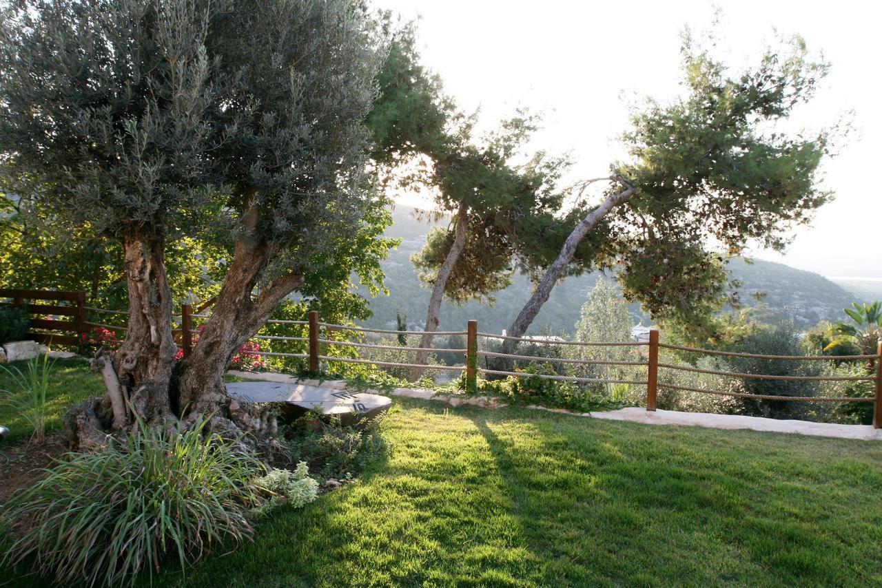 Вилла Above The Sea Ein Hod Экстерьер фото