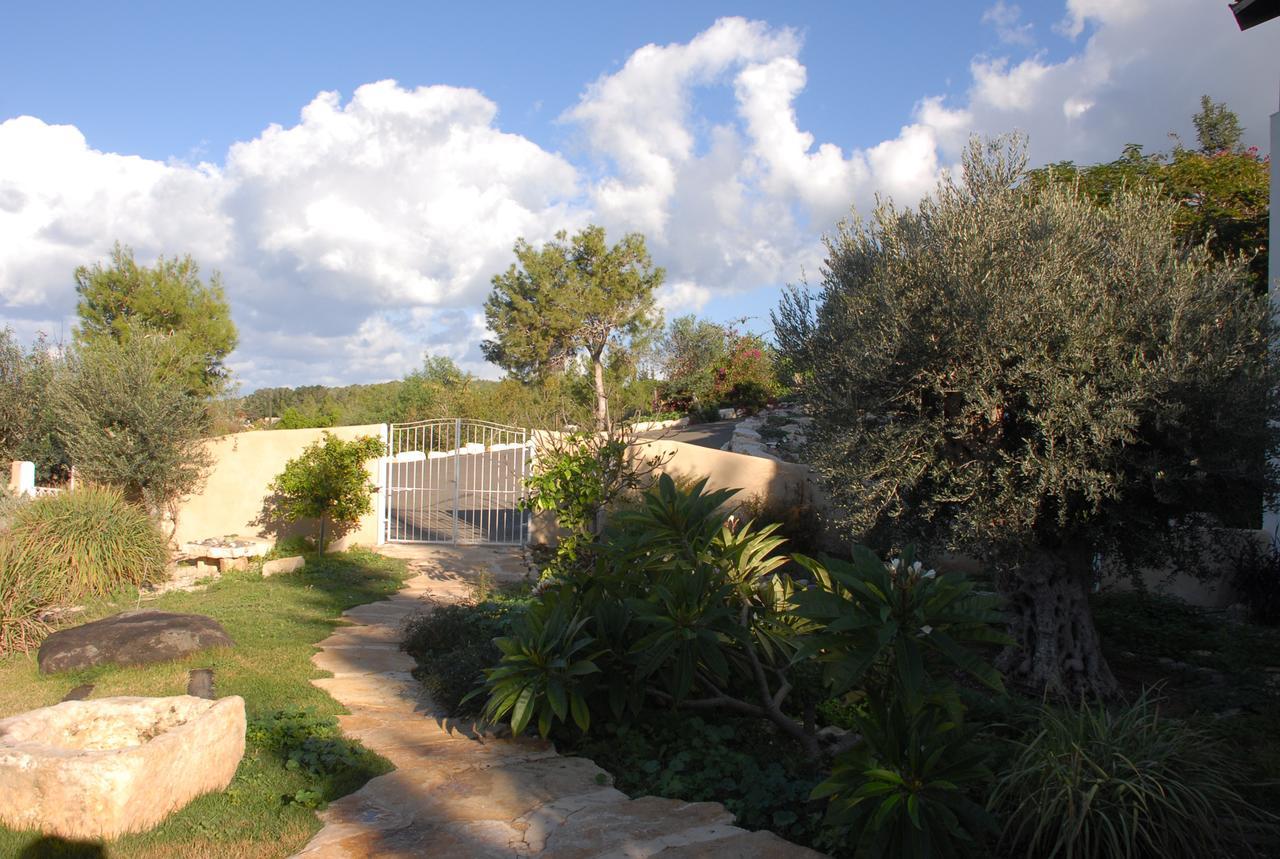 Вилла Above The Sea Ein Hod Экстерьер фото