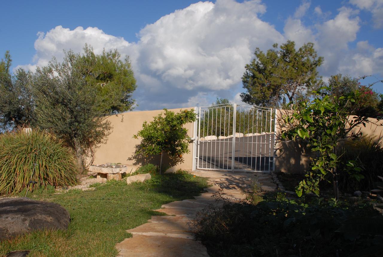 Вилла Above The Sea Ein Hod Экстерьер фото