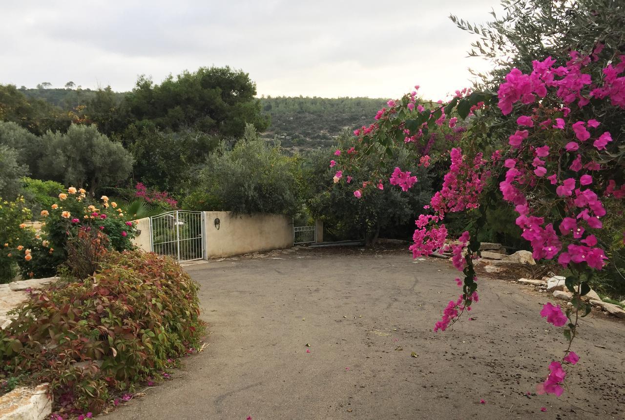 Вилла Above The Sea Ein Hod Экстерьер фото